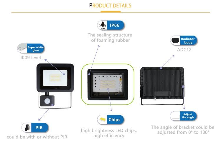 30W LED Floodlight with Multiple Sensor Options