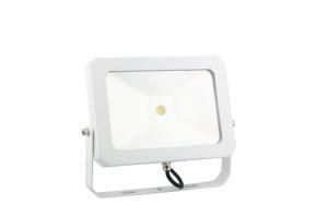 LED Black and White IP 65 Flood Light COB