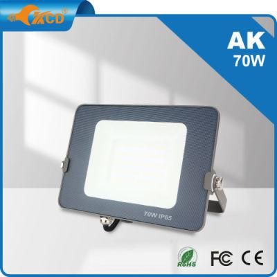 IP66 LED High Quality Smart Emergency 20W 30W 50W 70W 100 Watt LED Flood Light