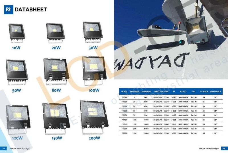 LED Light Manufacturing Directly Exterior Outdoor Flood Light for Tunnel with Lumileds LEDs and TUV MW Driver with Ce 10W2/20W/30W/50W/80W/100W/120W/150W/200W