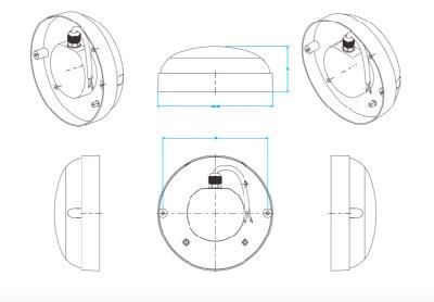 Oval Outdoor IP65 Waterproof 15W LED Bulkhead Light for Wall