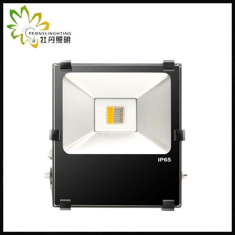 2019 Newest RGB 50W LED Flood Light, 5 Years Warranty RGB LED COB Flood Light
