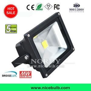 Indoor Outdoor Lighting 20W LED Flood Lamp