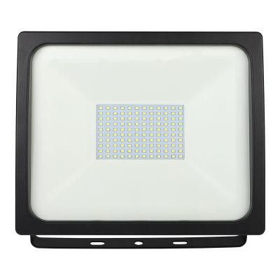 IP 65 Non-Isolated Driver LED Outdoor Floodlight (P61005A)