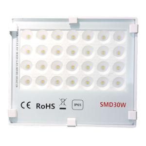 30W Good Quality Exterior LED Floodlight Spotlight with Ce RoHS