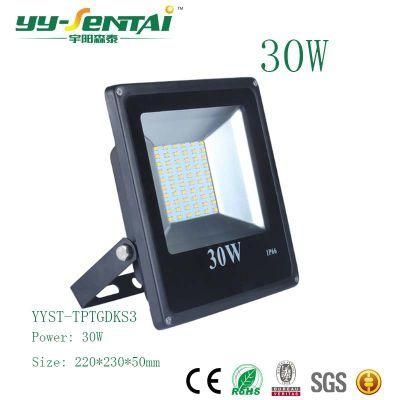 30W IP65 Outdoor Waterproof LED Floodlight