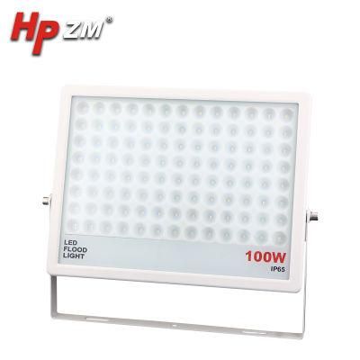 Professional LED Flood Light 100W for Monitoring and Control System