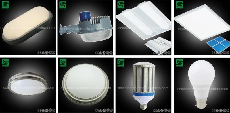 New Design High Quality 100 Watt LED Street Light OEM