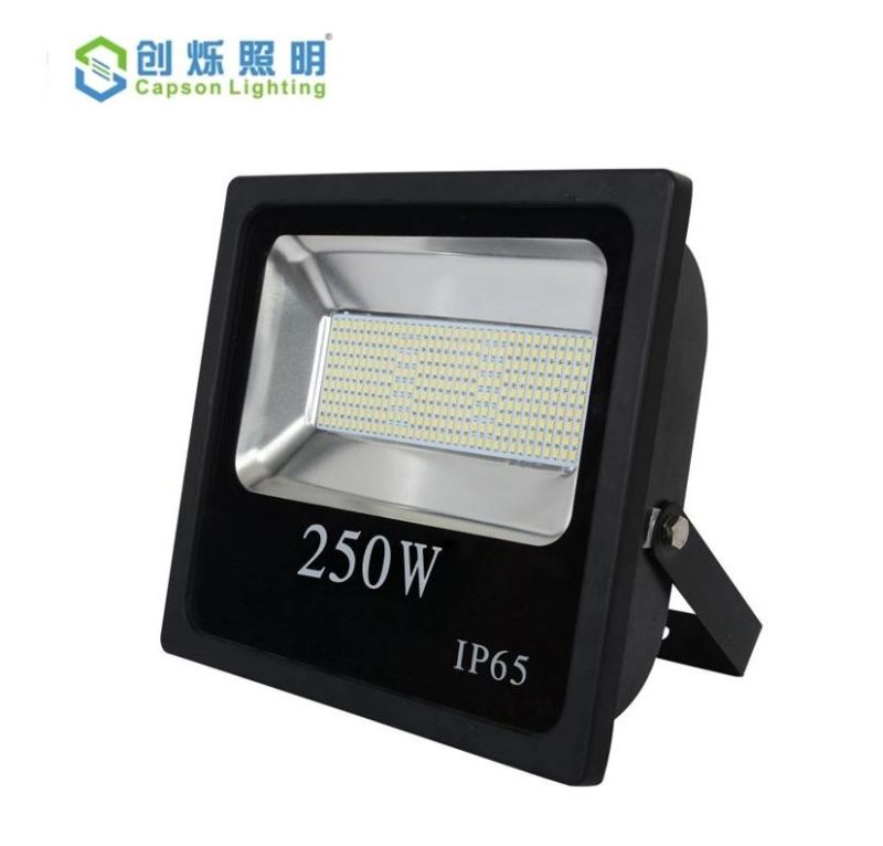 250W LED Waterproof Park Square Factory Garden Flood Light for Outdoor Stadium Lighting (CS-ZFH-250)