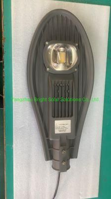 IP66 60W COB LED Street Lamps