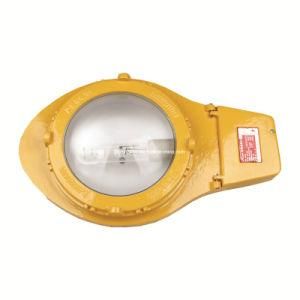 Explosion Proof Street Light, Road Lamp, Street Lighting