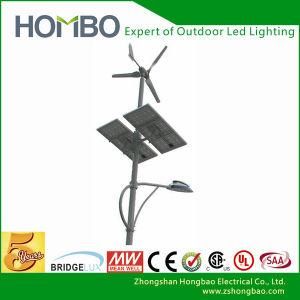 Zhongshan Manufacotry 30W/40W/50W 5m Pole Solar Street Light