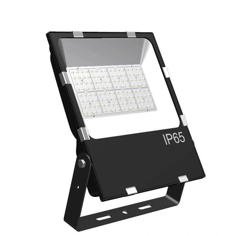 Die-Casting Aluminum 5year Warranty 30W 50W 80W IP66 LED Floodlight