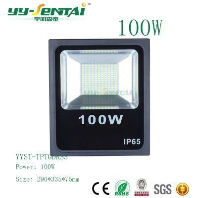 Ce/RoHS IP65 100W Building Lighting Floodlight