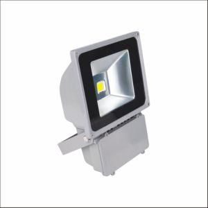 30W 50W 100W 150W 200W COB LED Floodlight