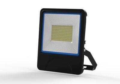 New Released IP66 100W 220V LED Floodlight