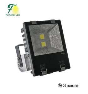 100W LED Tunnel Light with Competitive Price