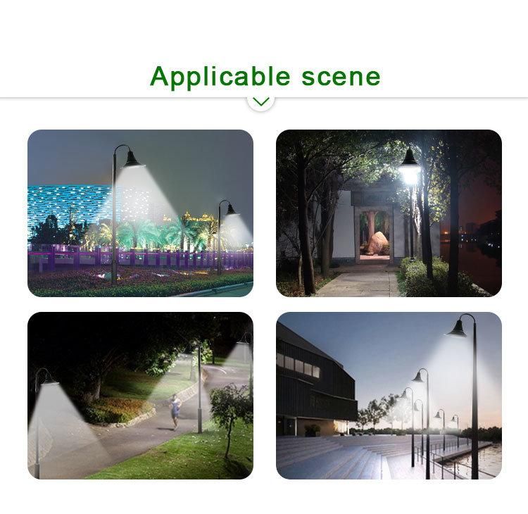 Hot Sale IP66 LED Outdoor Park Light 60W with 5 Years Warranty LED Garden Light