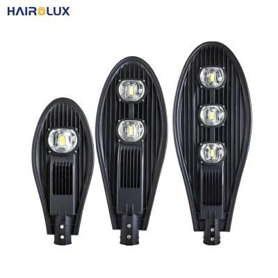 Zhongshan Hot Design High Lumens All Wattage IP66 Waterproof 50W 100W 150W 200W 250W LED Street Lighting