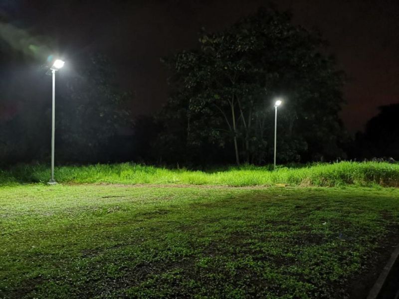 PIR Sensor Solar Garden Light for Garden and Park