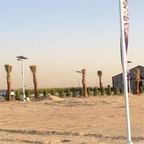 Professional Solar Project of 8m Pole 60W LED Street Light with Lithium Battery