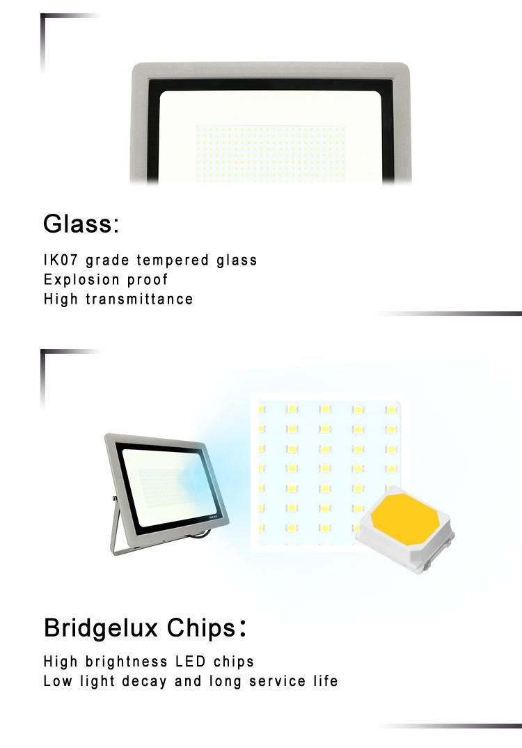 Professional 365nm High Lumen COB IP65 UV Rechargeable Green LED Cold White 100W Flood Light for Garden