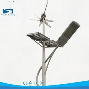 Wind Solar Hybrid Street LED Lights &amp; Lighting