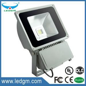 Ce EMC LVD RoHS Waterproof IP65 30W 50W 70W 80W 100W 150W Faro LED Flood Light