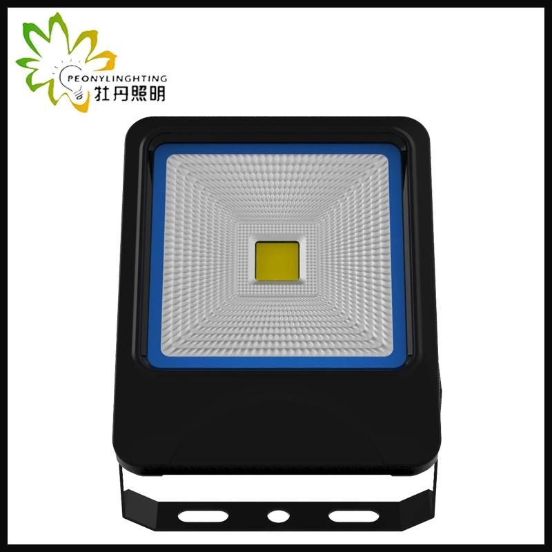 2019 Newest 5 Years Warranty LED 30W Flood Lighting with COB Chips