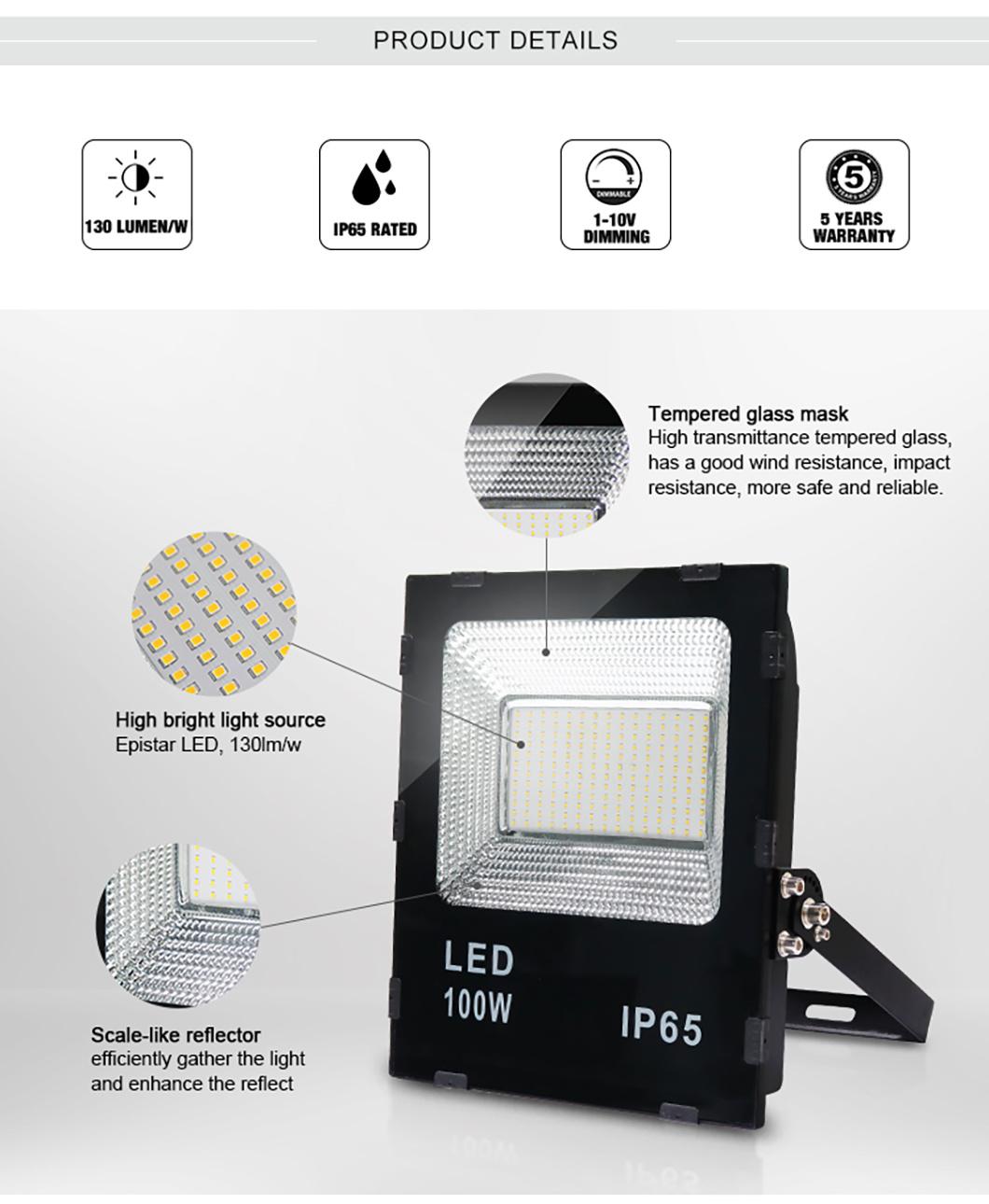 Glass Cover LED Floodlight 100W Flood Light LED 50W IP65