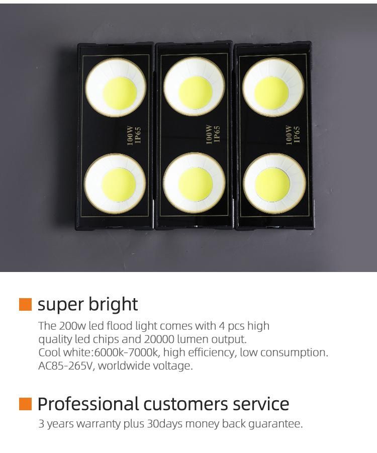 Reflectores 100W 10W Aluminum Parts Ultra Adjustable LED Flood Light