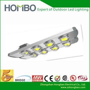 Hombo Hot Sale LED Street Light /Lamp (HB-080-240W -AC)