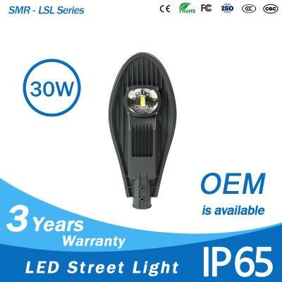 Factory COB Module LED Street Light Die-Cast Aluminum Lamp Body 30W