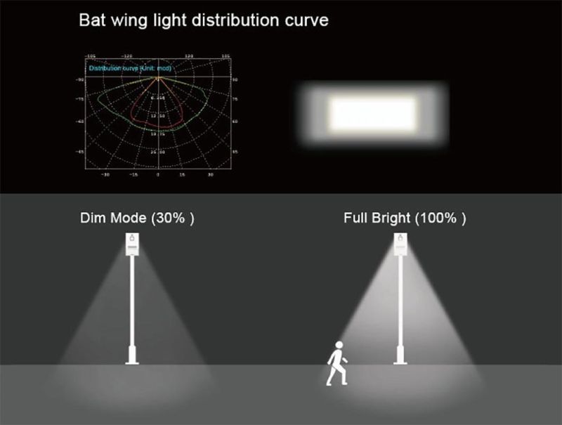 High 60W Solar Panel Efficiency All in One Solar Street Light