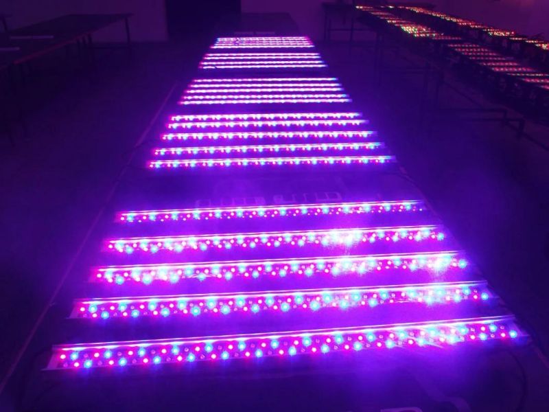 84PCS*3W RGB 3 in 1 LED Wall Wash Lieght