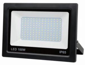 Outdoor 100W LED IP65 Flood Light with Ce RoHS by TUV (10W-200W, Sensor and non-sensor)