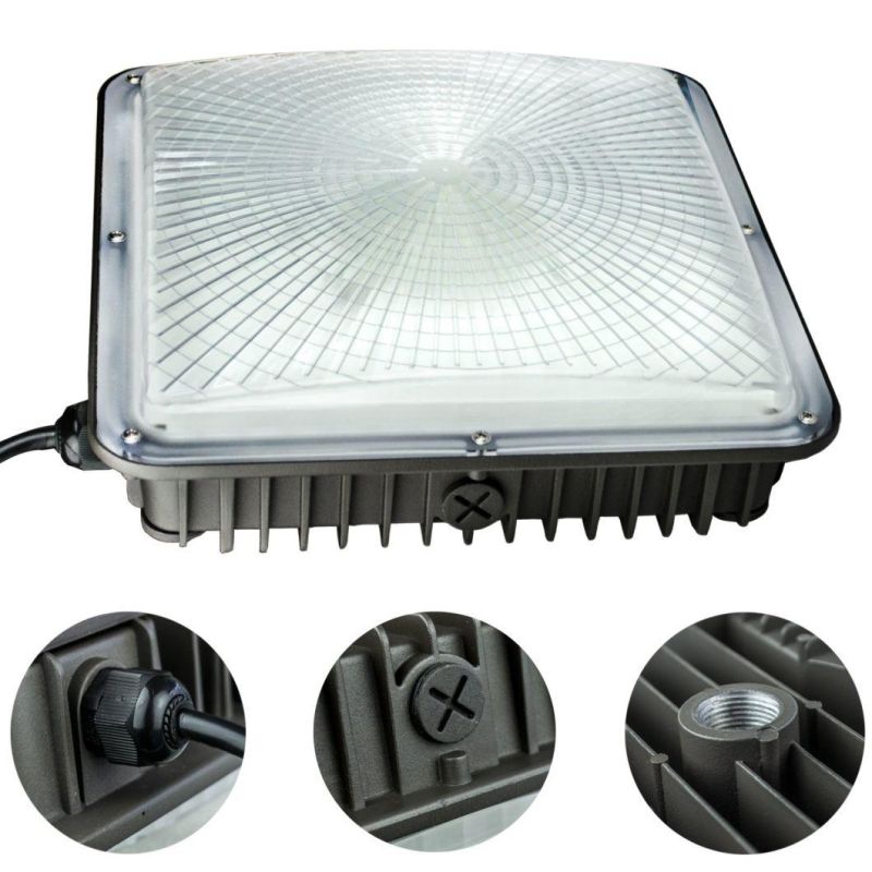 Atex Certified Petrol Station Lighting Fixtures LED Oil Station Canopy Lamp
