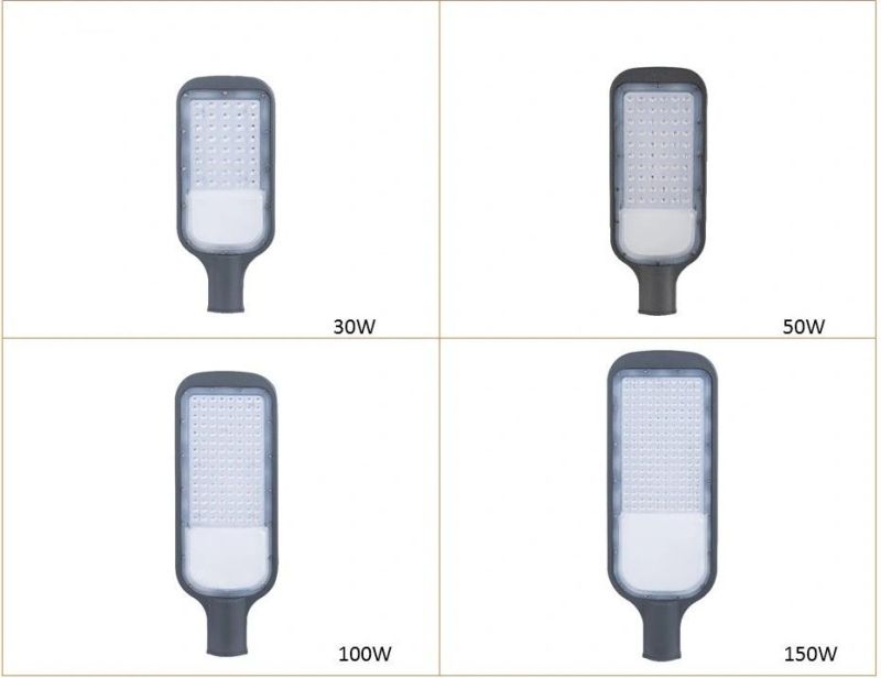 Outdoor Isolated AC100-265V Withstand Voltage 1500V 30W LED Street Light