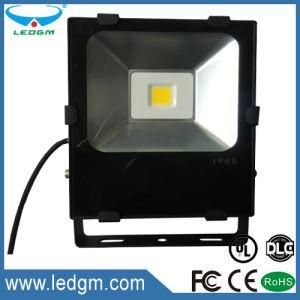 Ce EMC LVD RoHS FCC 3 Years Warranty IP67 50W Black LED Floodlight Projector