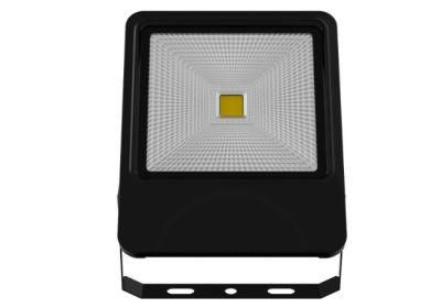 New 100 Watts LED Flood Light COB Light Source IP66 Waterproof