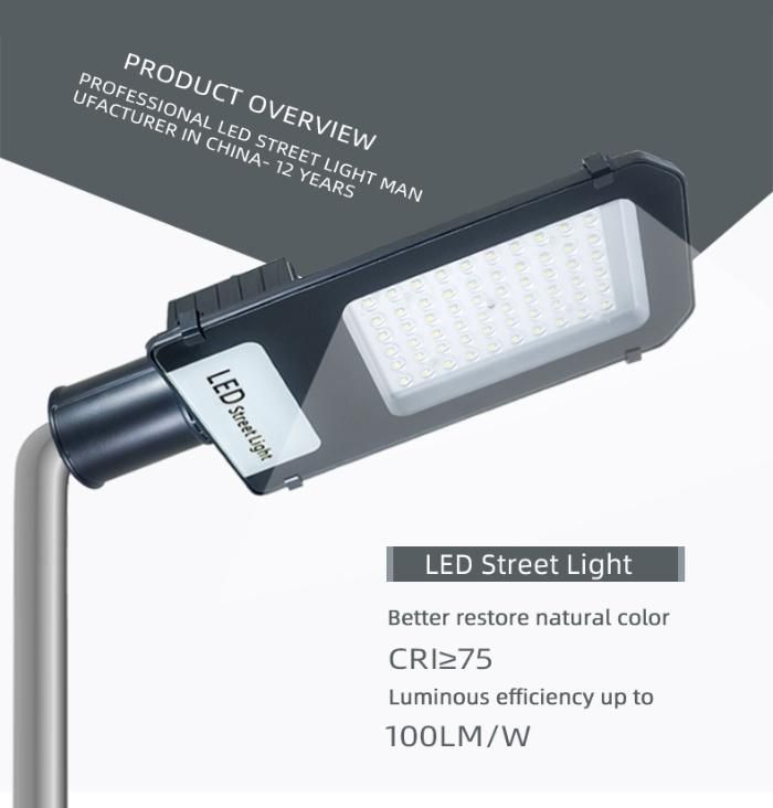 Die Casting Aluminum 3030 SMD 100W LED Street Light Housing
