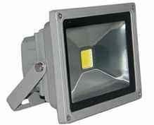 50W LED Floodlight