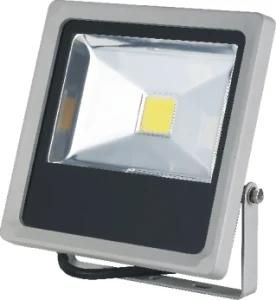 20W LED Floodlight with CE GS Certificate
