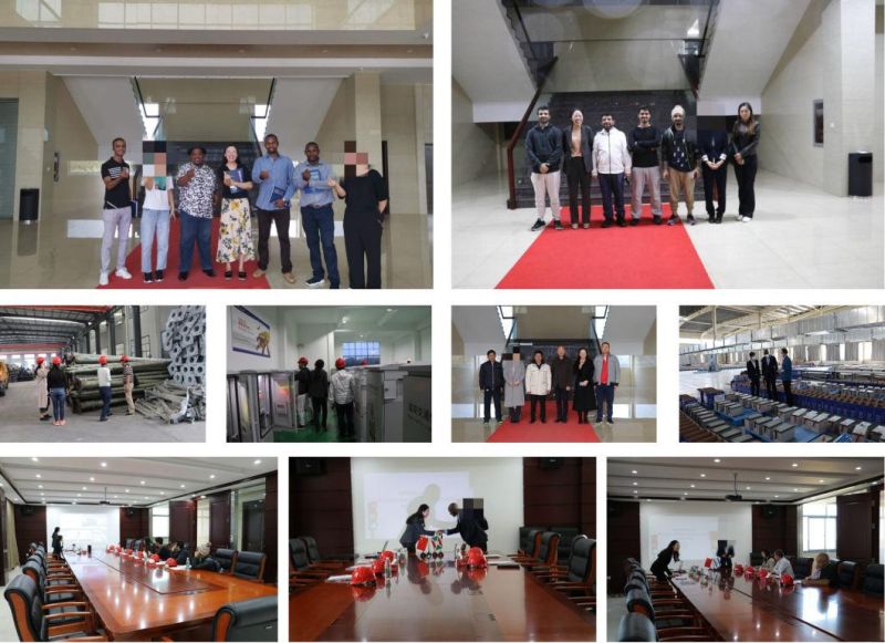 Poly Crystalline Silicon Battery Buried Wind Solar LED Road Lighting