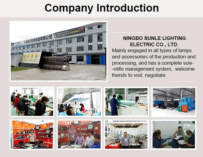 Slin Pad SMD 5730chip LED Flood Light with Isolated Driver (SLFAP720 200W)