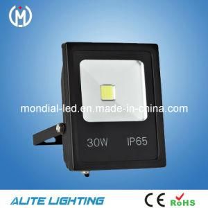 2015 Outdoor 30W LED Flood Light with CE RoHS Certification