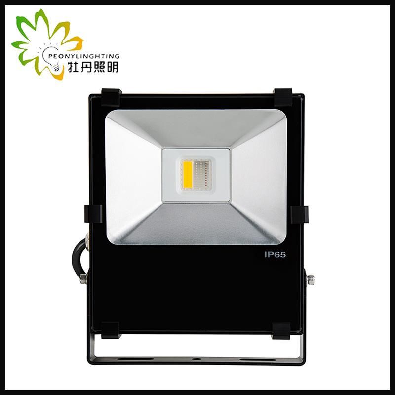 2019 Newest RGB 30W LED Flood Light, 5 Years Warranty RGB LED COB Flood Light