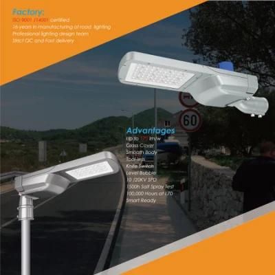 100W IP66 LED Street Lamp with Daylight Sensor