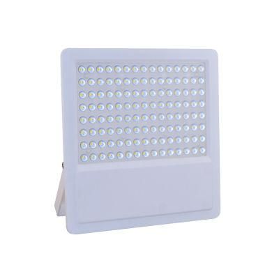 Landscape Field Cheap Good Quality New Design 100W LED Flood Light