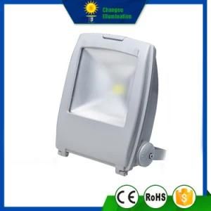 80W Slim Backpack LED Floodlight